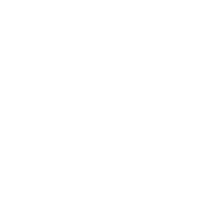 roku