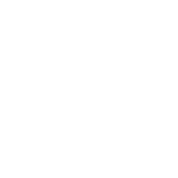 toongoogles